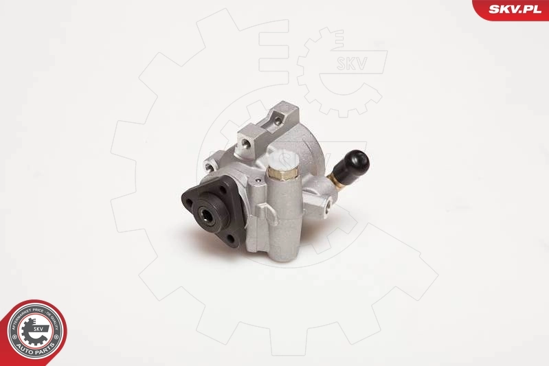 Hydraulic Pump, steering